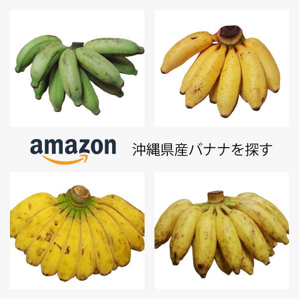 沖縄県産バナナを探す